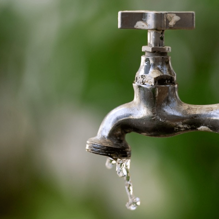​Damae alerta sobre necessidade de economizar água