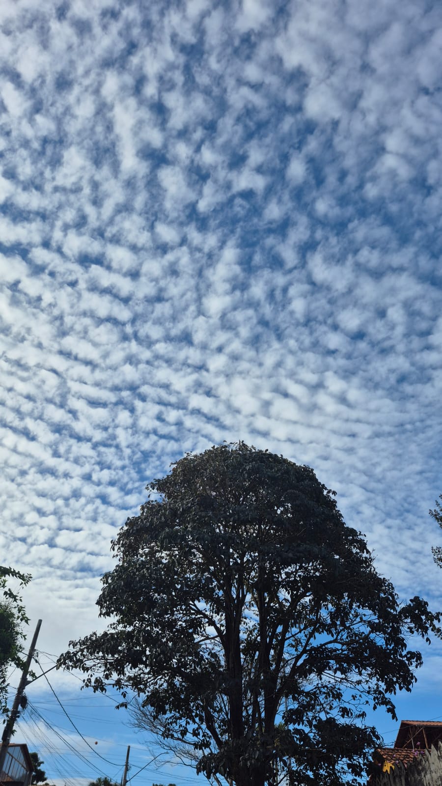 ​Semana começa com muitas nuvens e temperaturas amenas em São João del-Rei