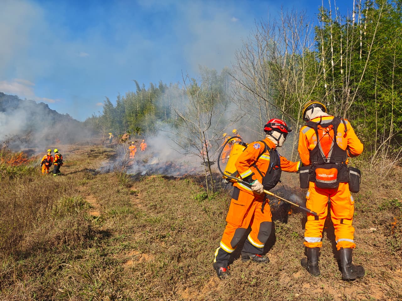 ​Bombeiros e IEF realizam queima controlada para prevenir incêndios florestais em Juiz de Fora