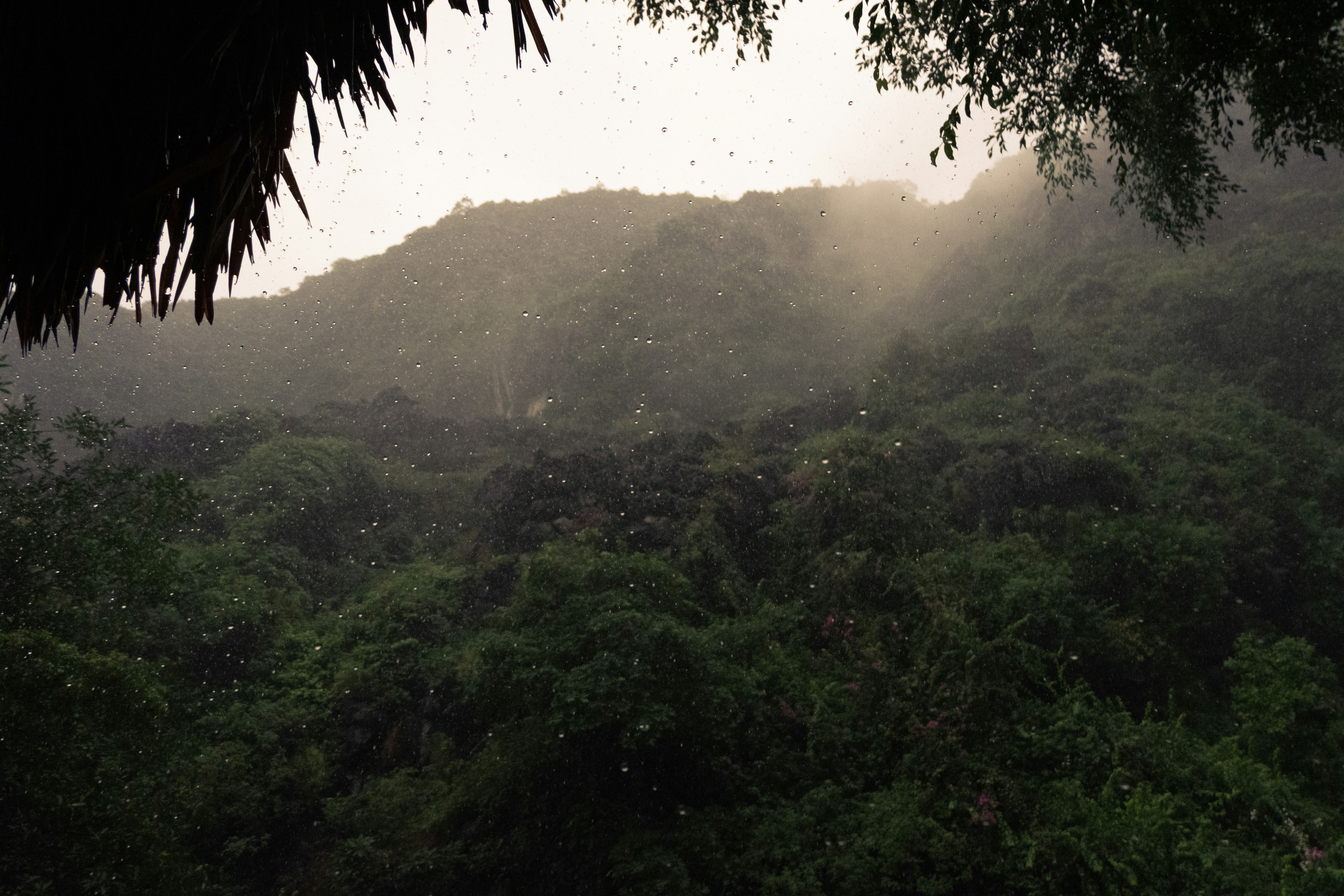 São João del-Rei terá chuva e temperaturas até  30°C nesta semana