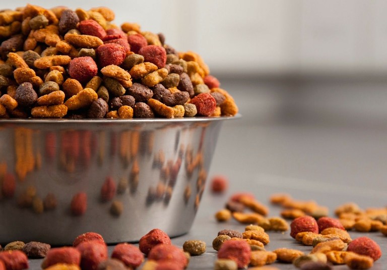 ​Câmara aprova criação de Banco de Ração para animais e programa “Vaga Viva” em São João del-Rei