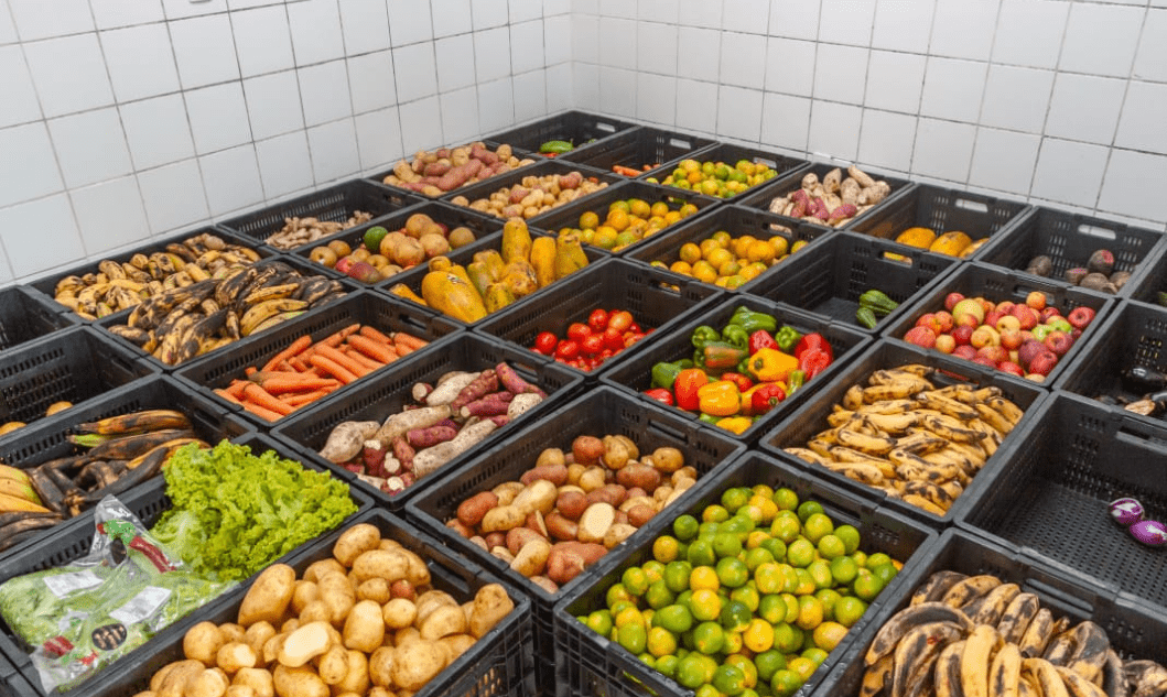 ​Banco de Alimentos de São João del-Rei é destaque nacional em combate ao desperdício de alimentos