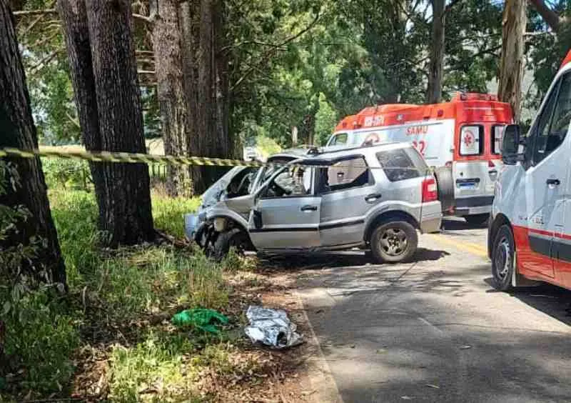 ​Criança de 4 anos morre após carro bater em árvore na rodovia entre São João del-Rei e Prados