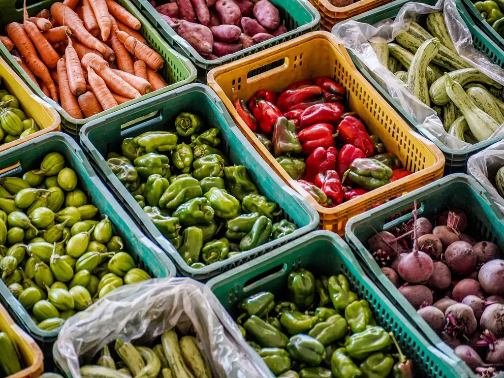 ​Novo mercado do Banco de Alimentos começa a funcionar em São João del-Rei